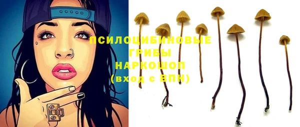 мдма Няндома