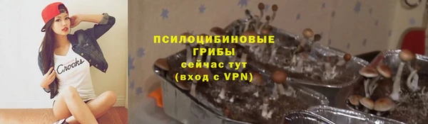 ПСИЛОЦИБИНОВЫЕ ГРИБЫ Нягань