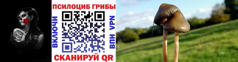 Галлюциногенные грибы мицелий Кремёнки
